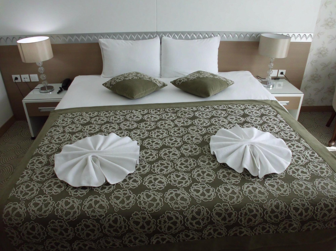 Nadir Business Otel主图