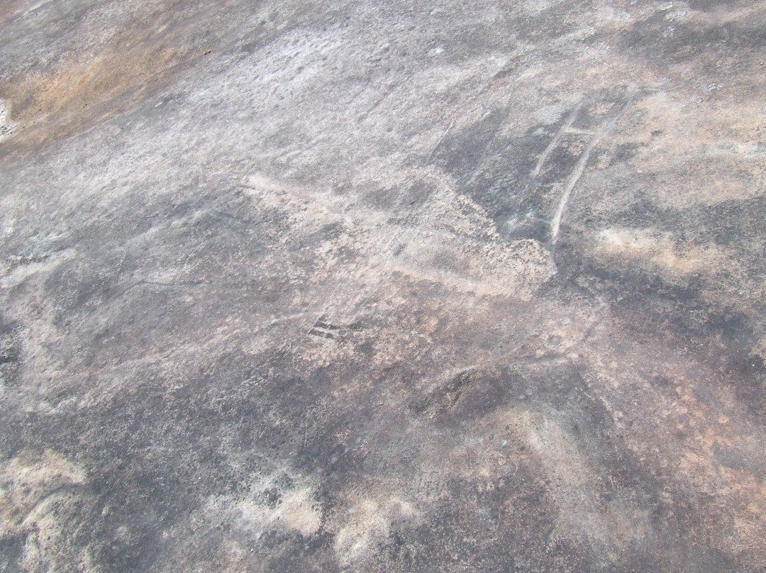 Bulgandry Aboriginal Engraving Site-Kariong必去景点