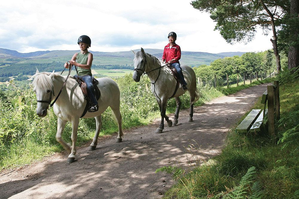 Crieff Hydro Riding Centre-Crieff必去景点