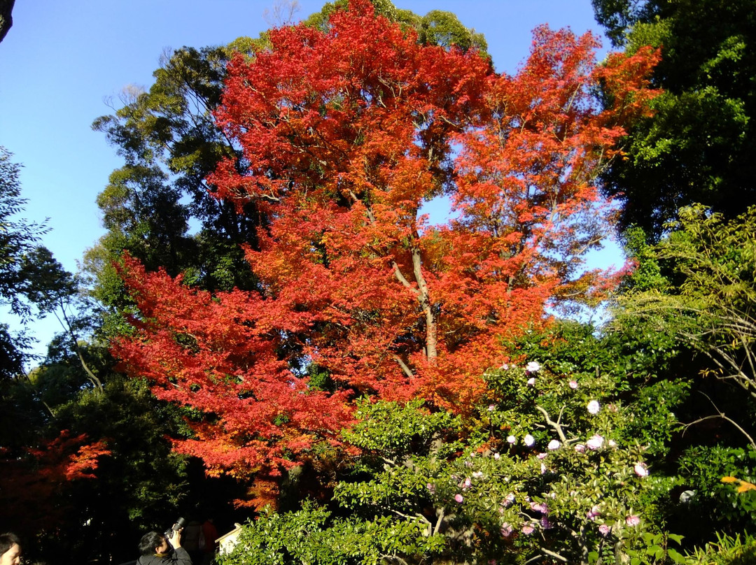 德川园-名古屋市必去景点