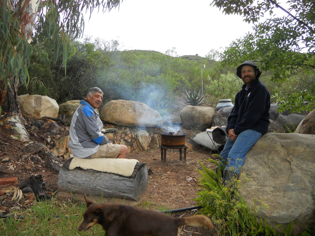 Farmer Redbeard-Ashton必去景点