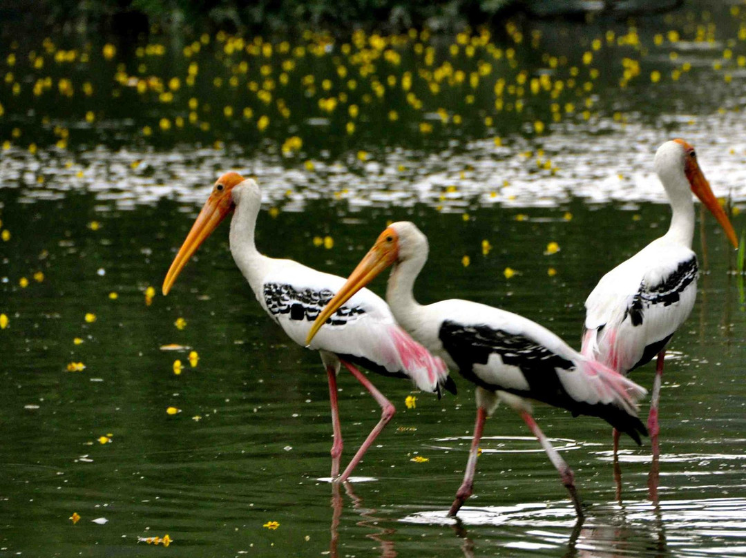国家动物园-安邦必去景点