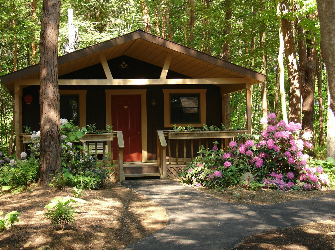 Java Center旅游攻略图片