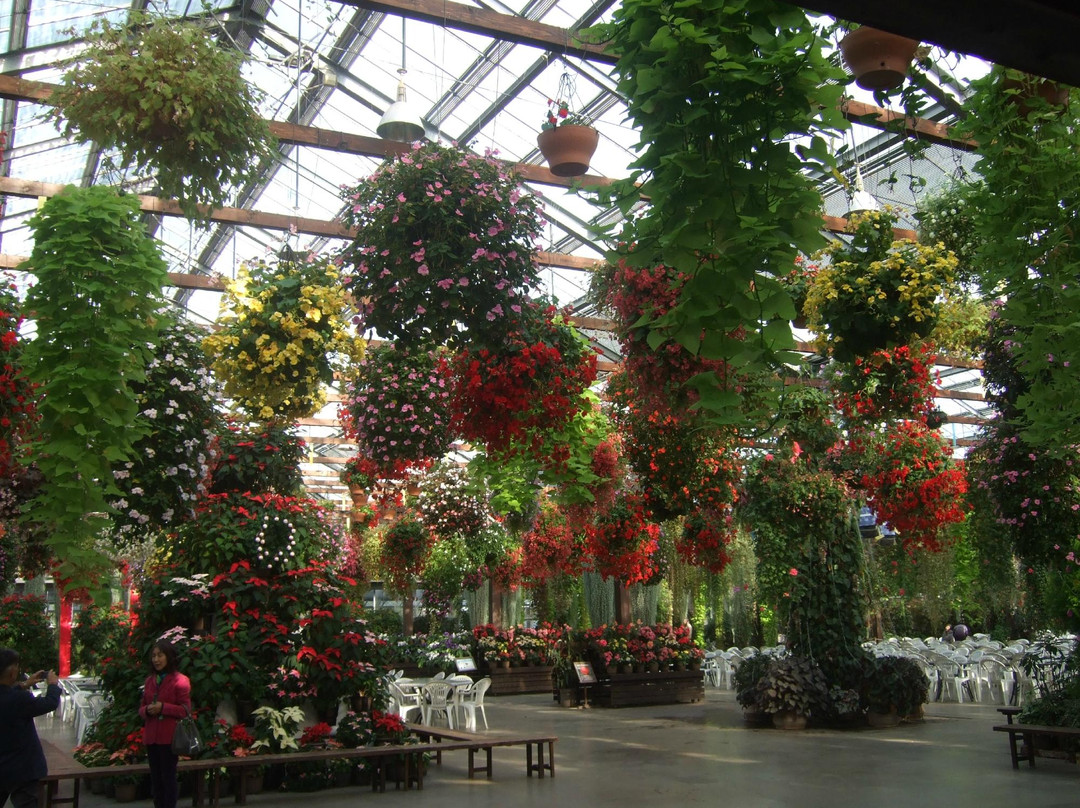 神戶動物王國-神户市必去景点