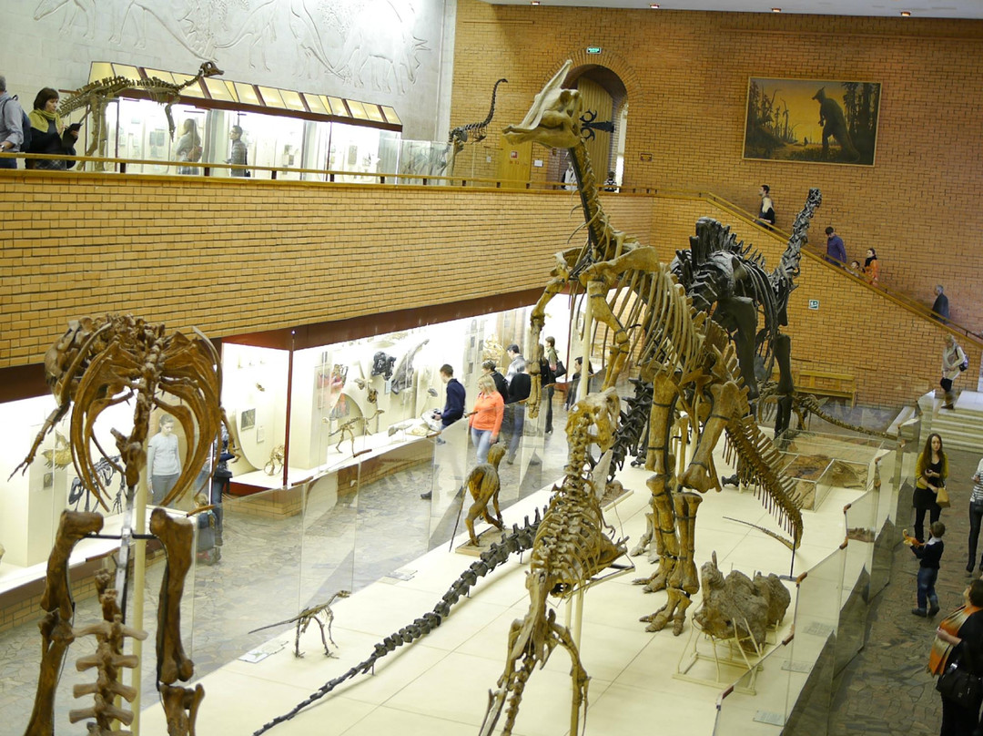 Orlov Paleontological Museum-莫斯科必去景点