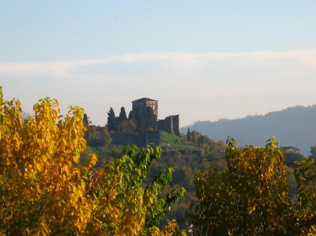 Castello di Arzignano景点图片
