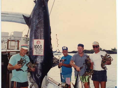 Medusa Sportfishing - Private Charters-凯鲁瓦-柯纳必去景点