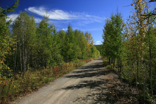 根河敖鲁古雅使鹿部落-根河市必去景点