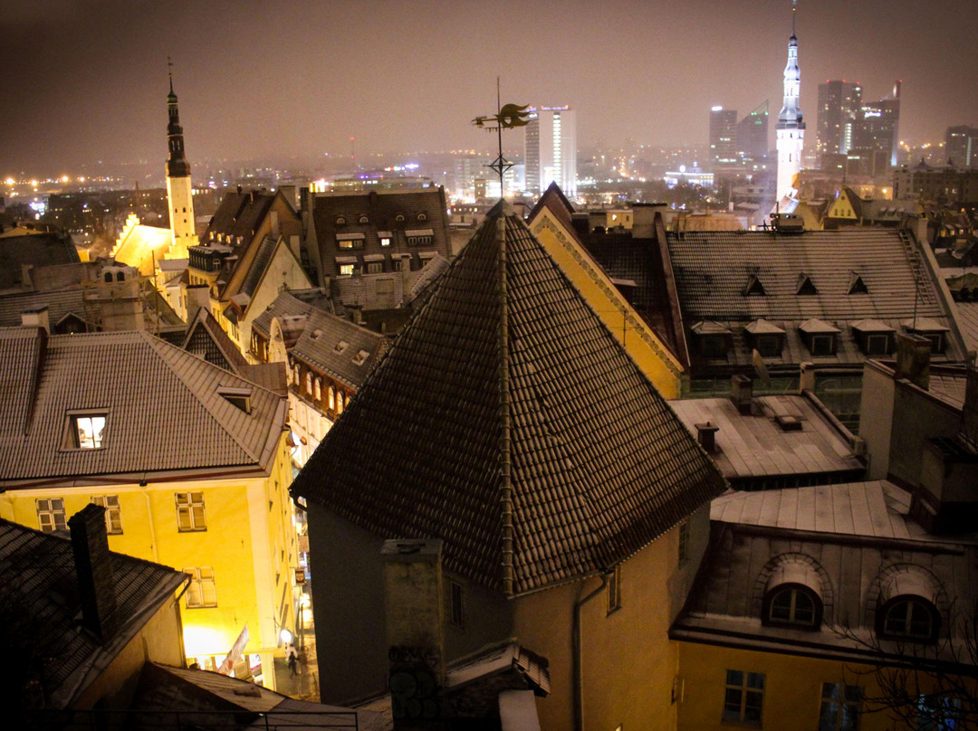 Nordic Experience-塔林必去景点