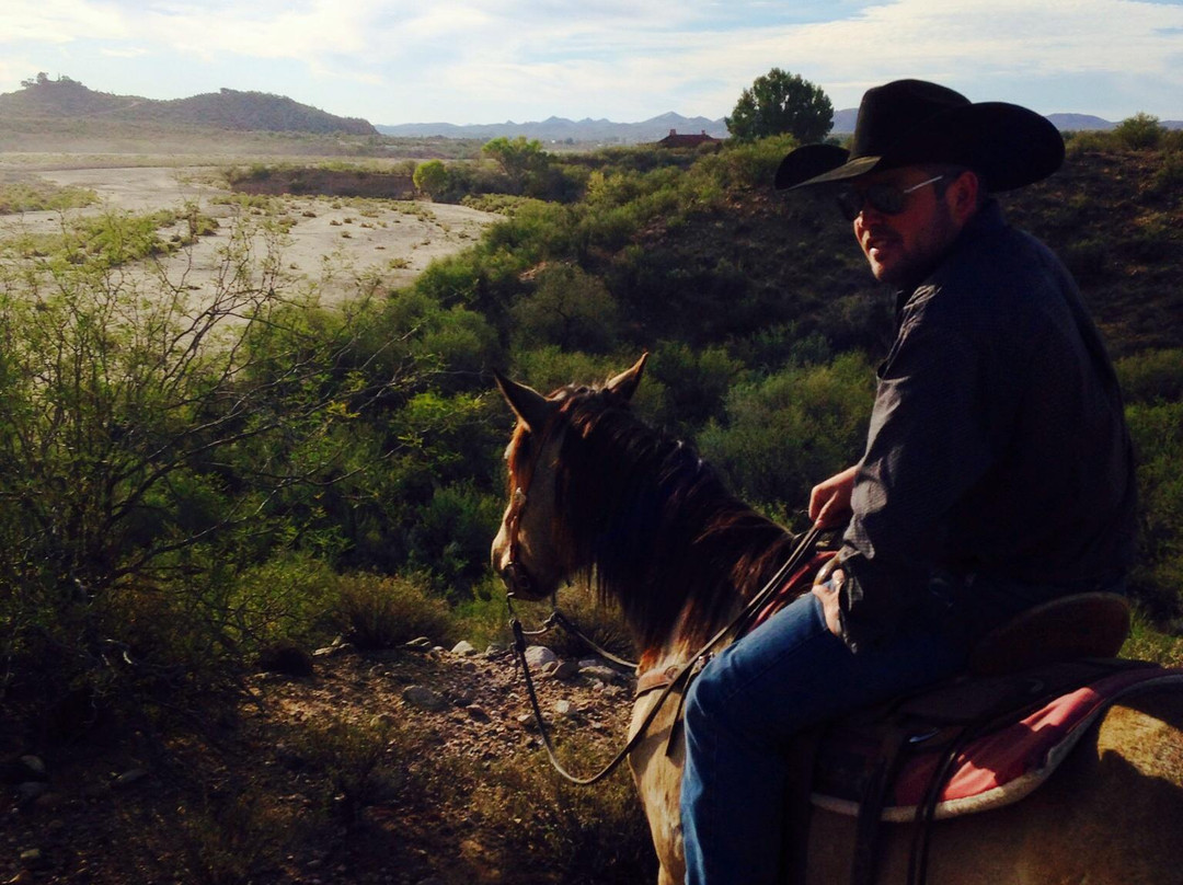 Arizona Horse Company-Wickenburg必去景点