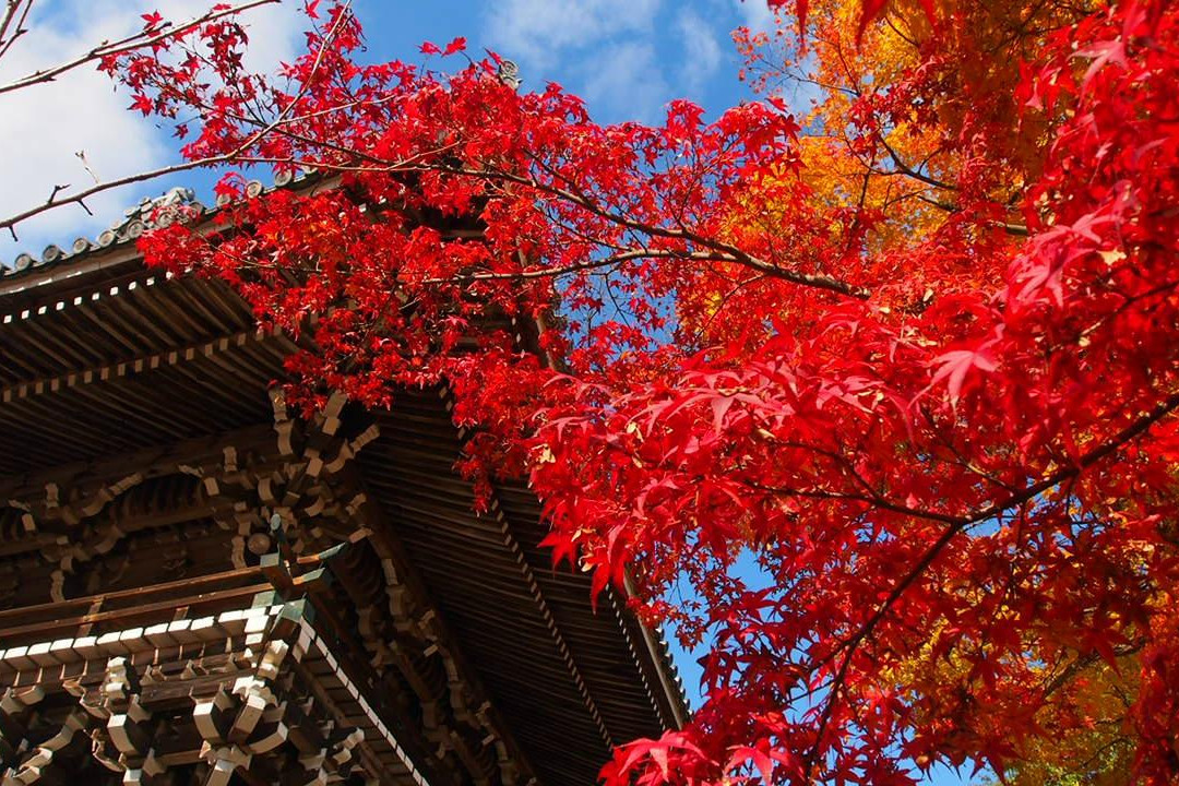 善峰寺-京都市必去景点