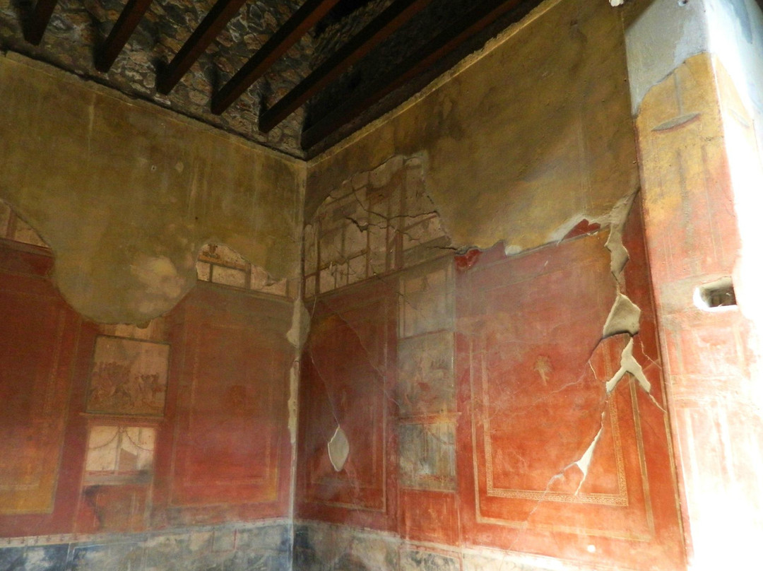 Casa del Menandro景点图片
