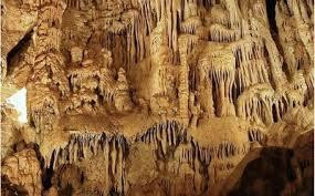 Cueva de los Murcielagos景点图片