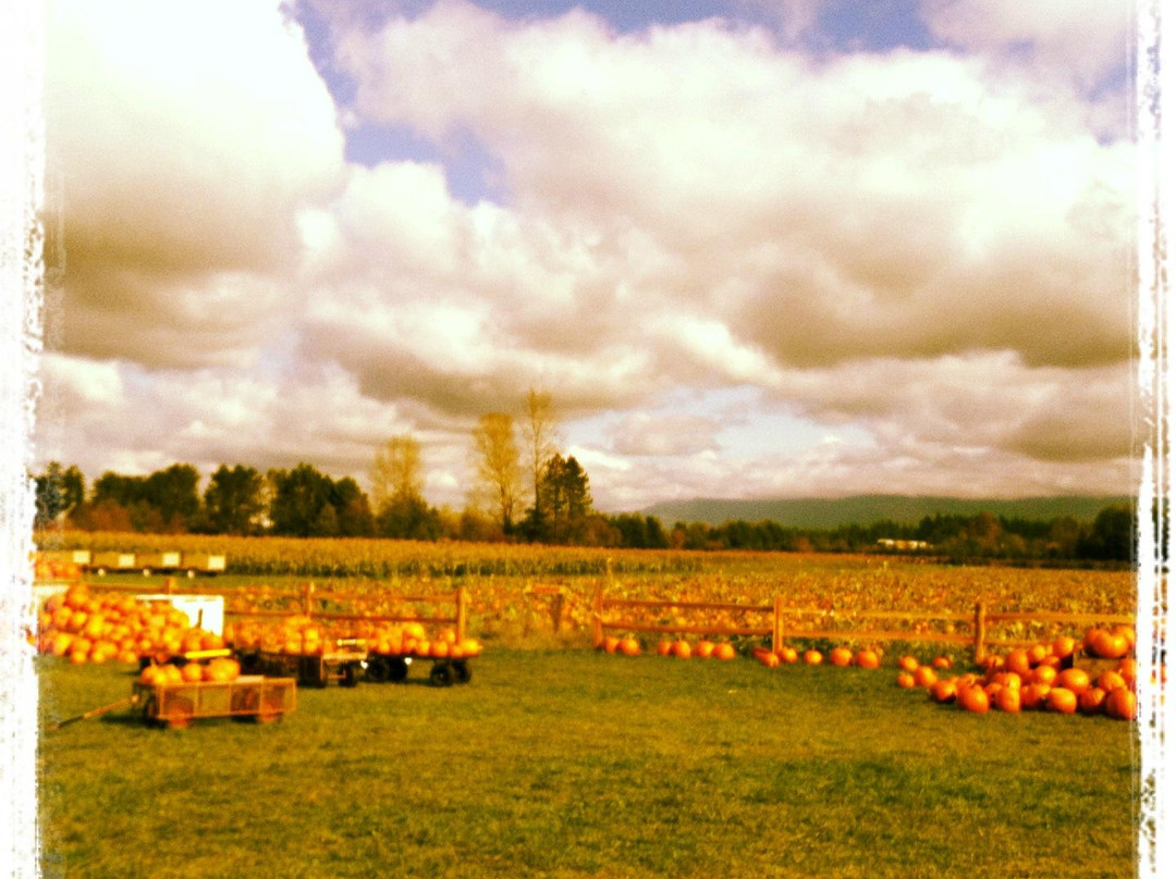 Bellewood Farms Distillery-Lynden必去景点