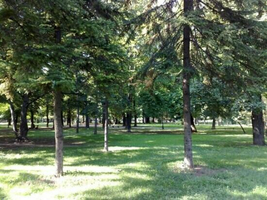 Zemunski Park-泽蒙必去景点