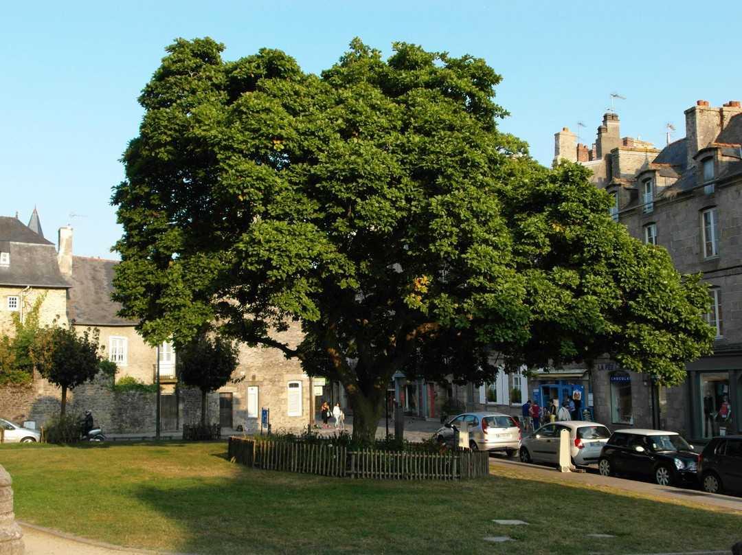 Eglise Saint-Malo de Dinan景点图片