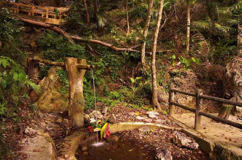 Kannna Yoriage Green Forest Park景点图片