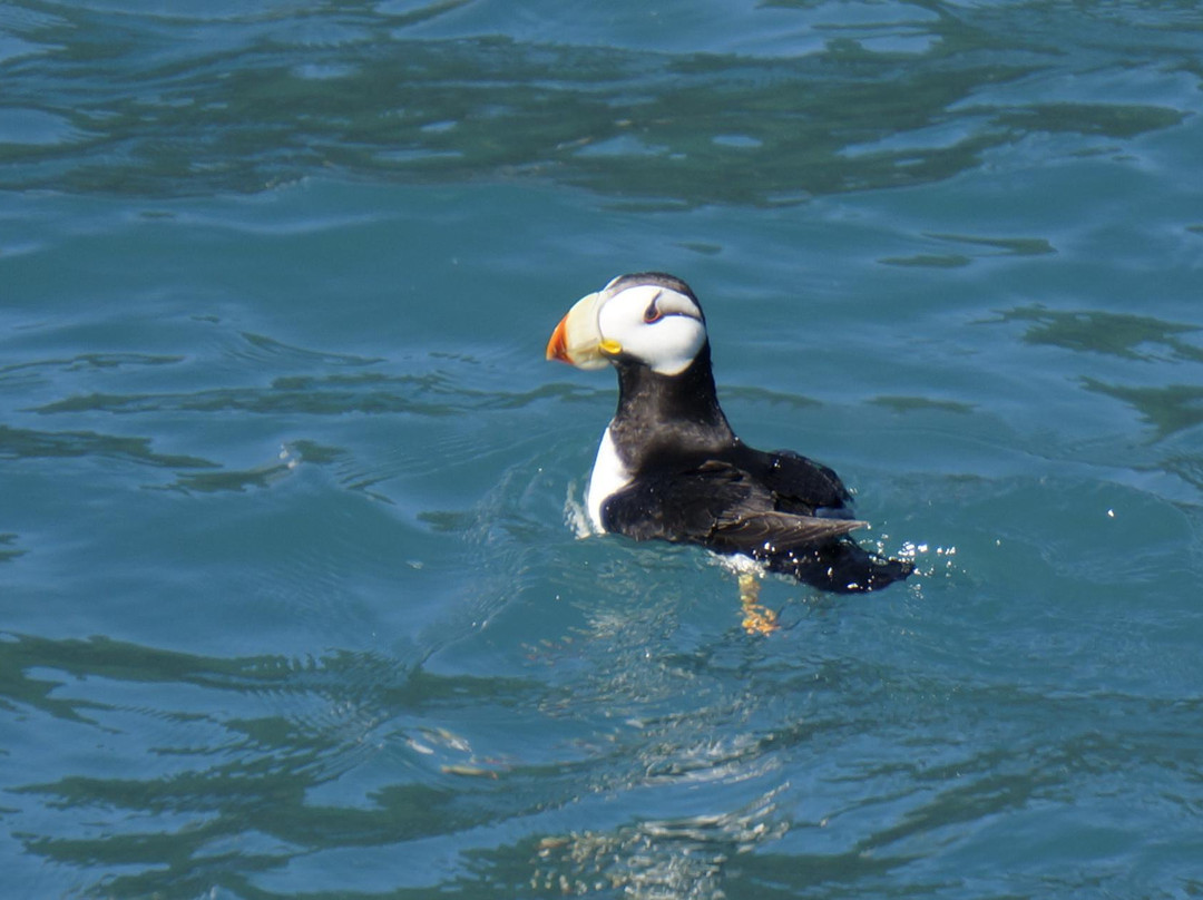 复兴海湾-苏厄德必去景点