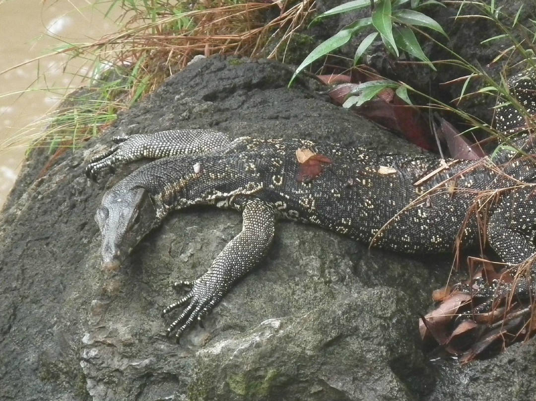 踏缤野生动物保护区-拉哈达图必去景点