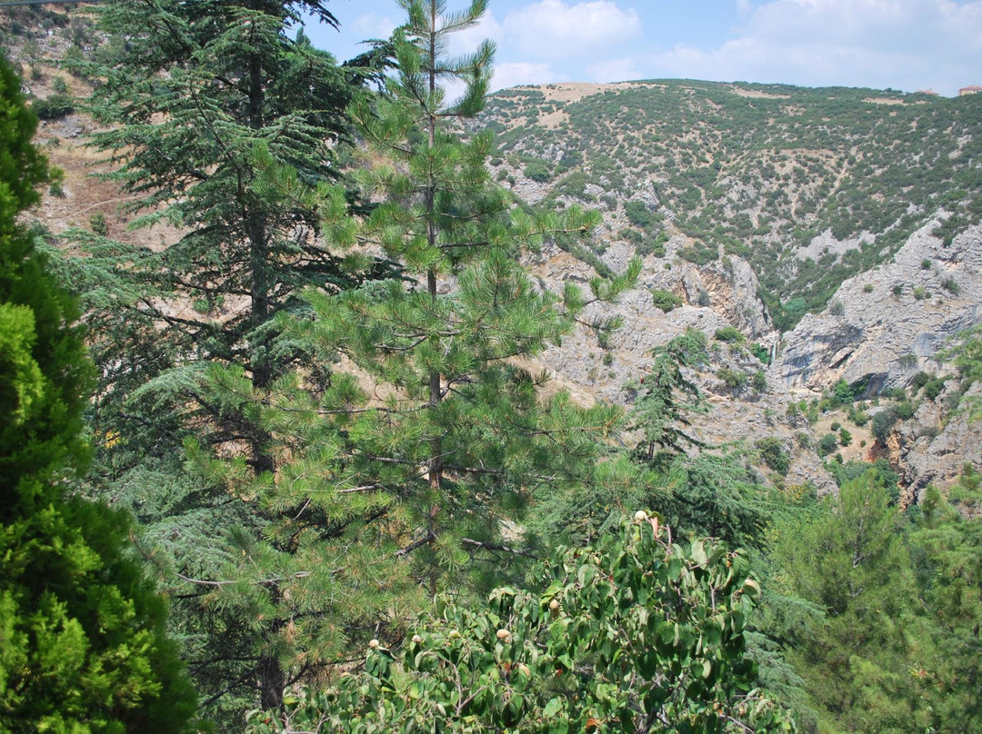 Seyh Edebali Tomb-比莱吉克必去景点