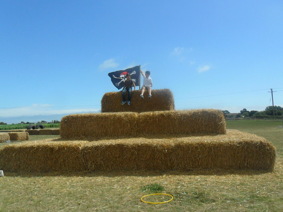 Mini Moos Maize Maze and Funyard景点图片