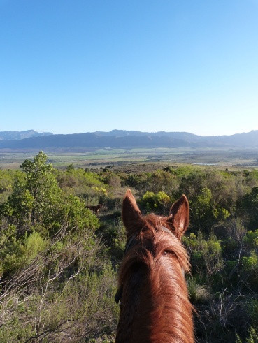 Horse About Trails景点图片