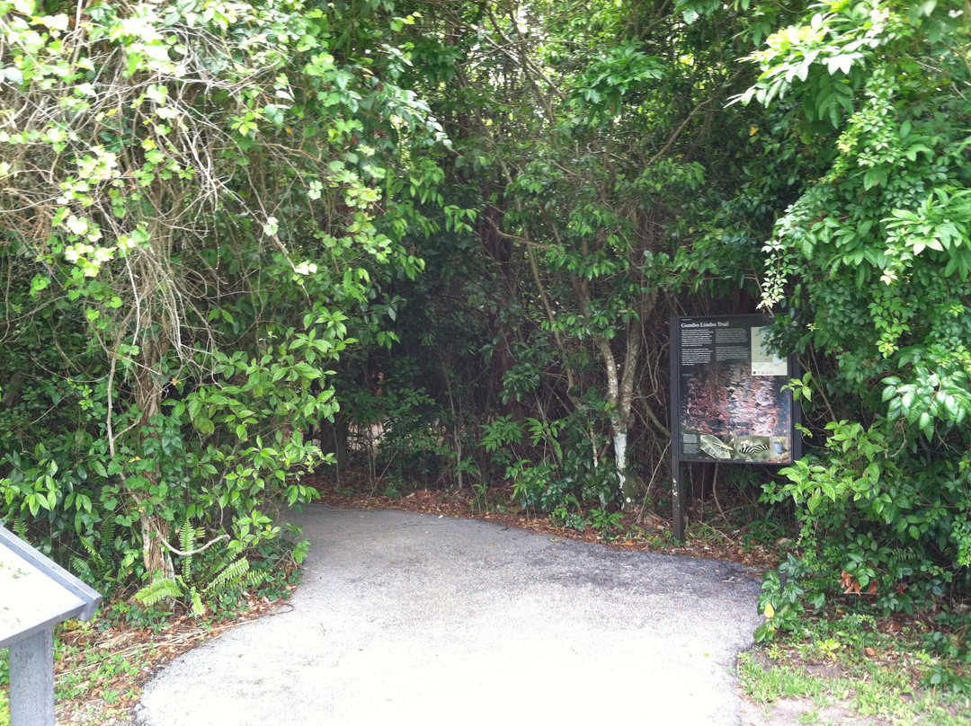 Gumbo Limbo Trail-大沼泽国家公园必去景点