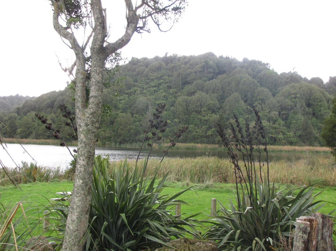 Rotokare Scenic Reserve & Sanctuary景点图片