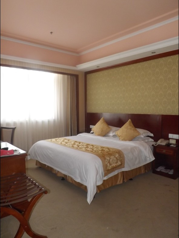 安阳维也纳酒店主图