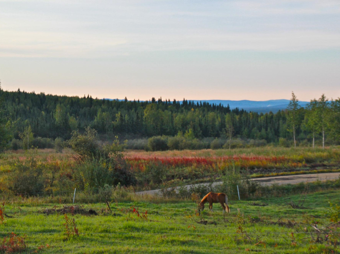 Moose on the Loose B & B主图