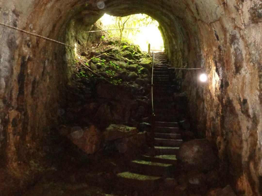 Lava Tunnel-圣克鲁斯必去景点