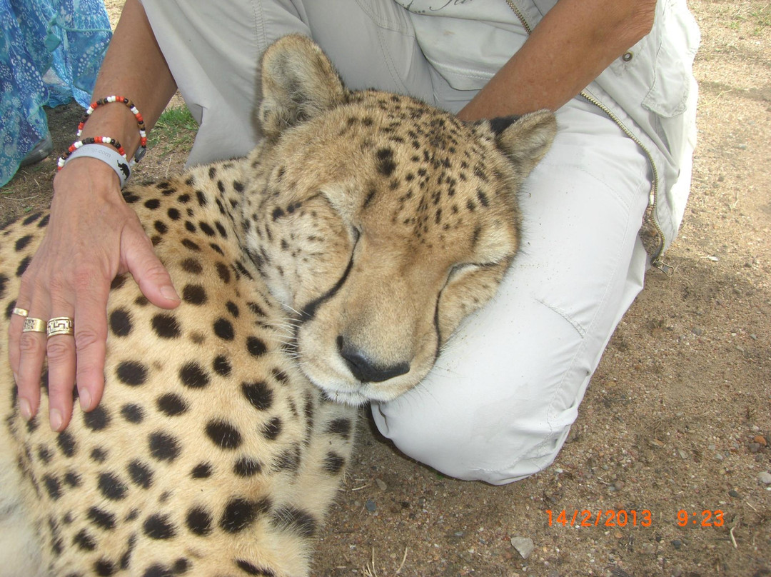 Ronel Cooper Day Tours-鱼角必去景点