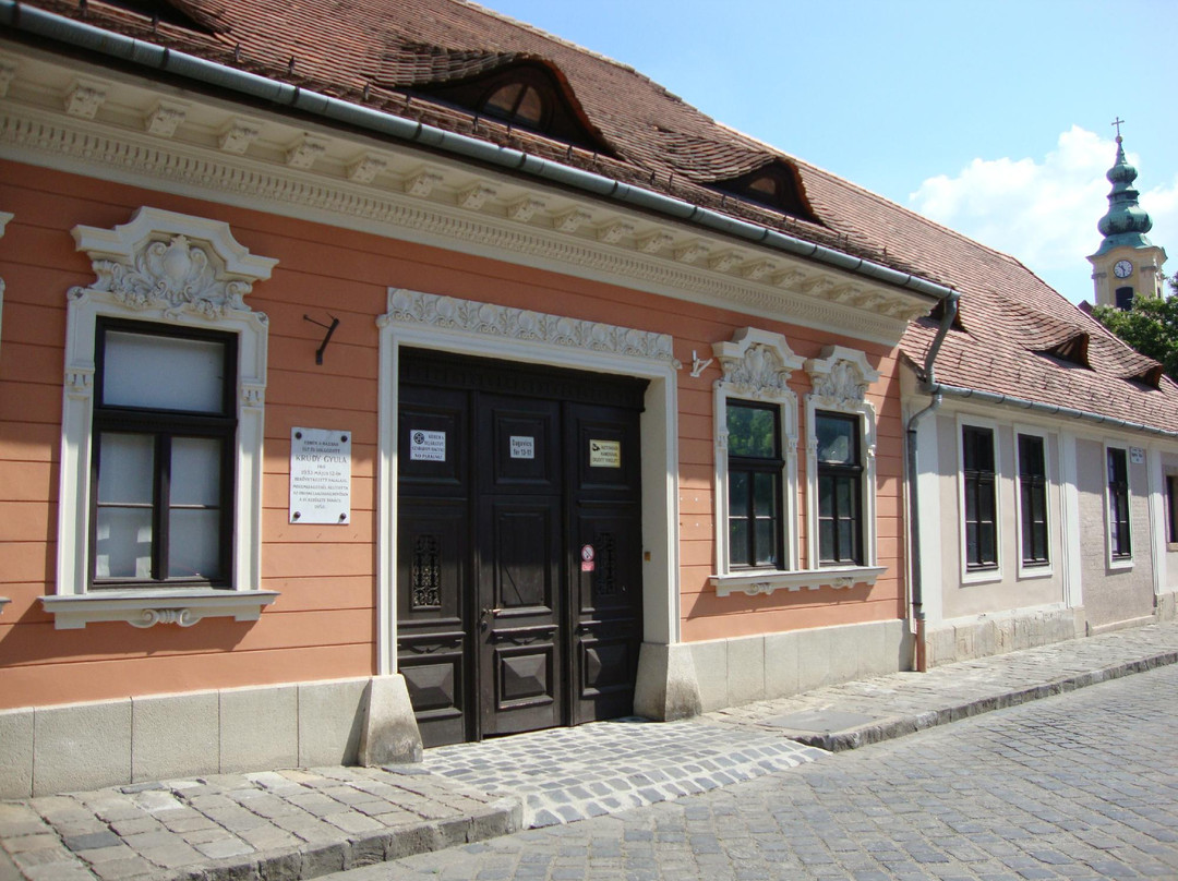 Hungarian Museum of Trade and Tourism景点图片
