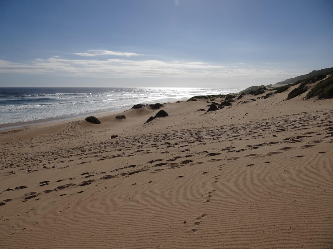 Blue Horizon Bay Guest House主图