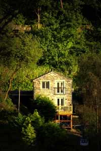 Spring Wood Studios