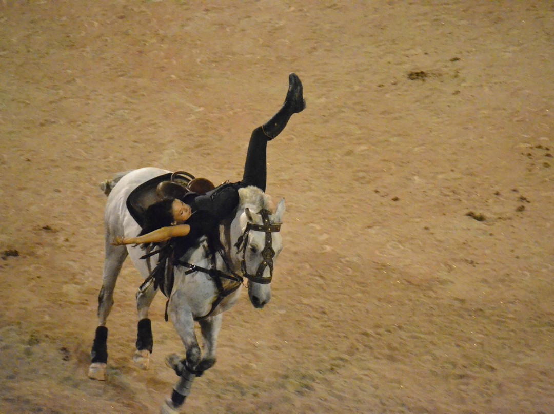 La Provence de Claire Tours-阿维尼翁必去景点