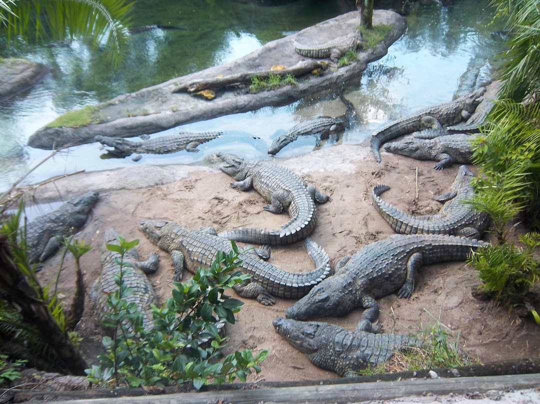 非洲野外探险-奥兰多必去景点