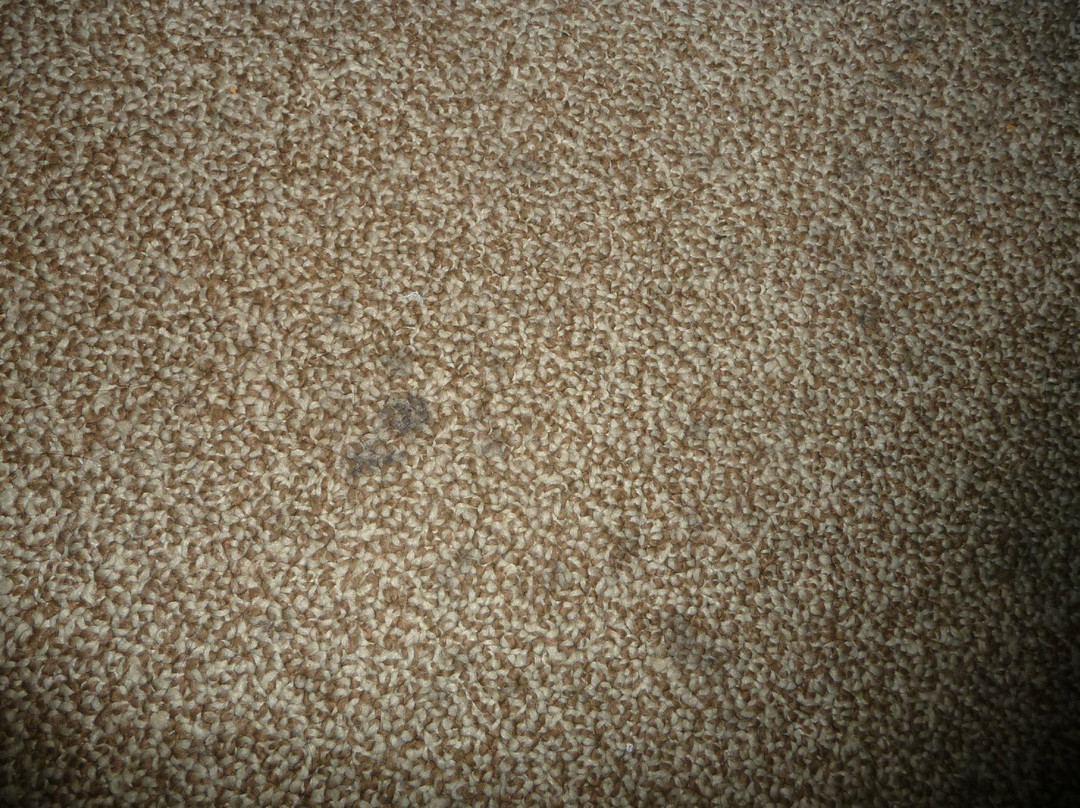 星宇国际大酒店（九寨沟景区店）主图