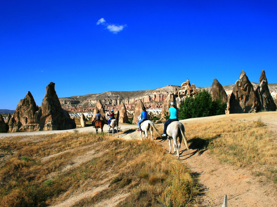 The Dalton Brothers Horse Riding Tours-格雷梅必去景点