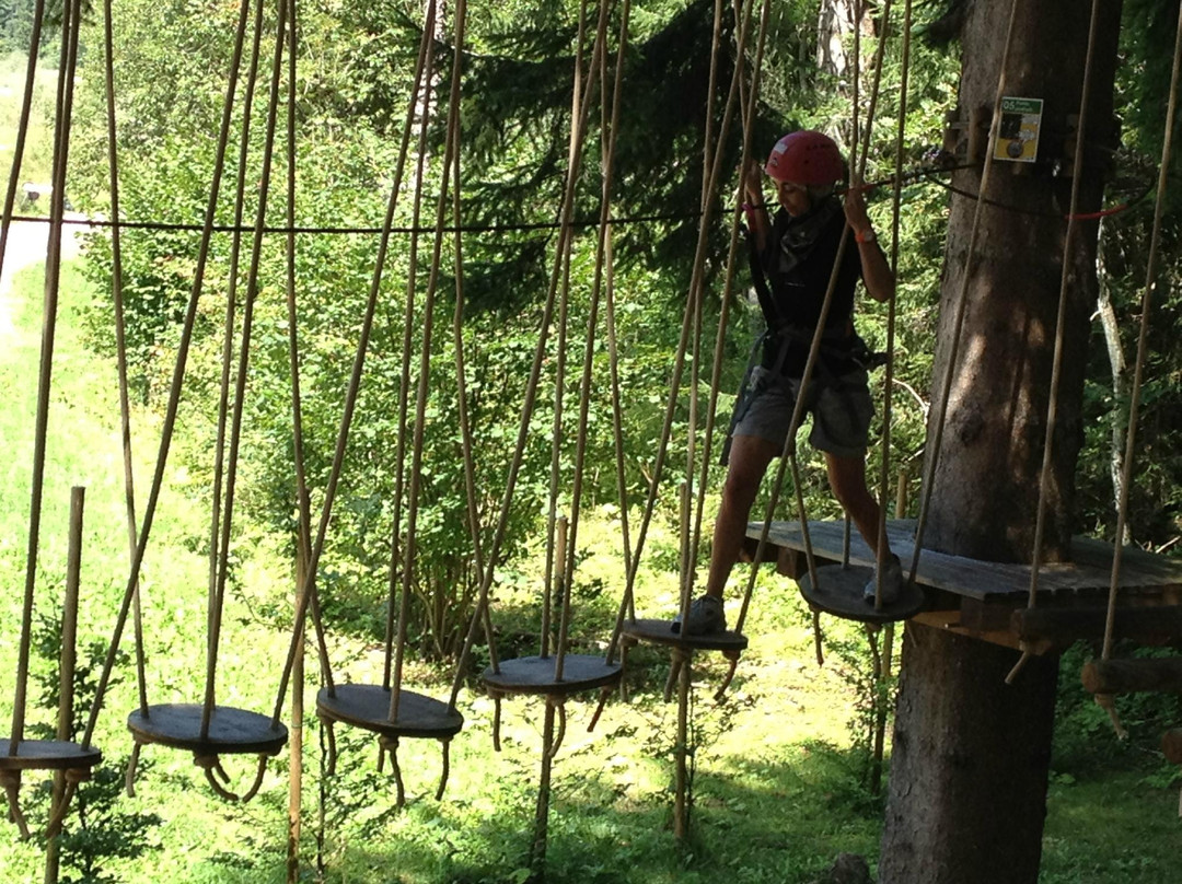 Dolomiti Adventure Park景点图片