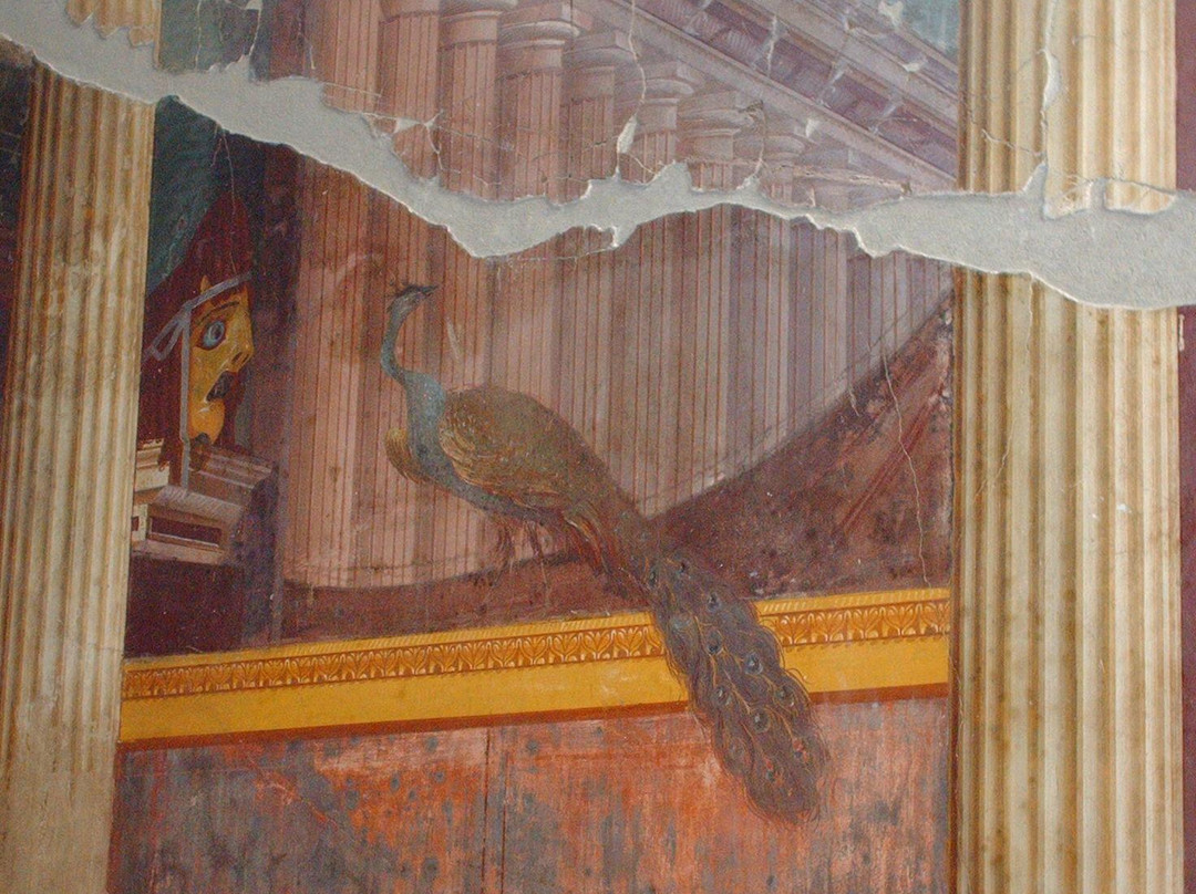 Villa di Poppea-Torre Annunziata必去景点