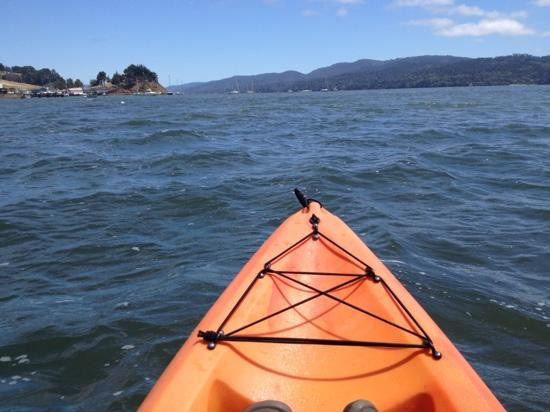 Blue Waters Kayaking-Point Reyes Station必去景点