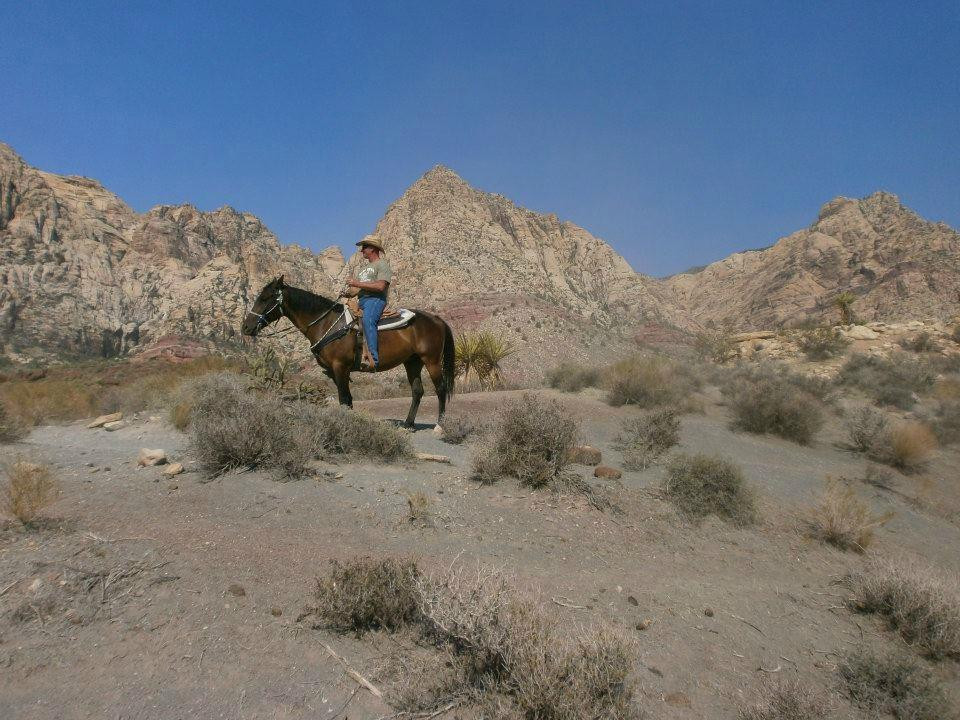 Wild West Horseback Adventures-拉斯维加斯必去景点