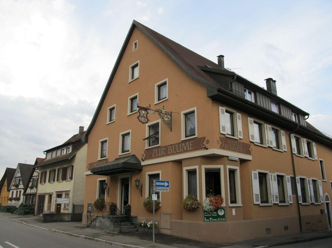 Berghaupten酒店住宿-Zur Blume