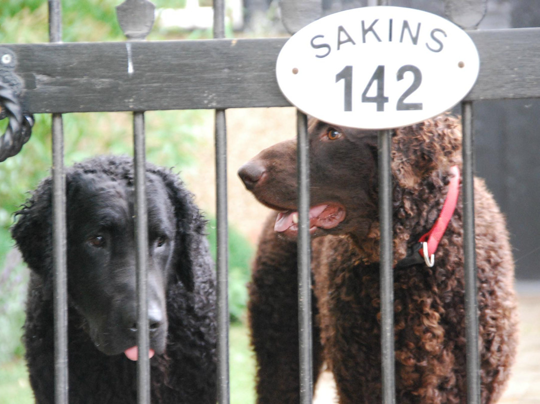 Sakins Luxury B&B主图