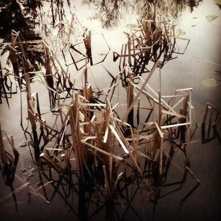 Marais de la Riviere aux Cerises-梅戈格必去景点