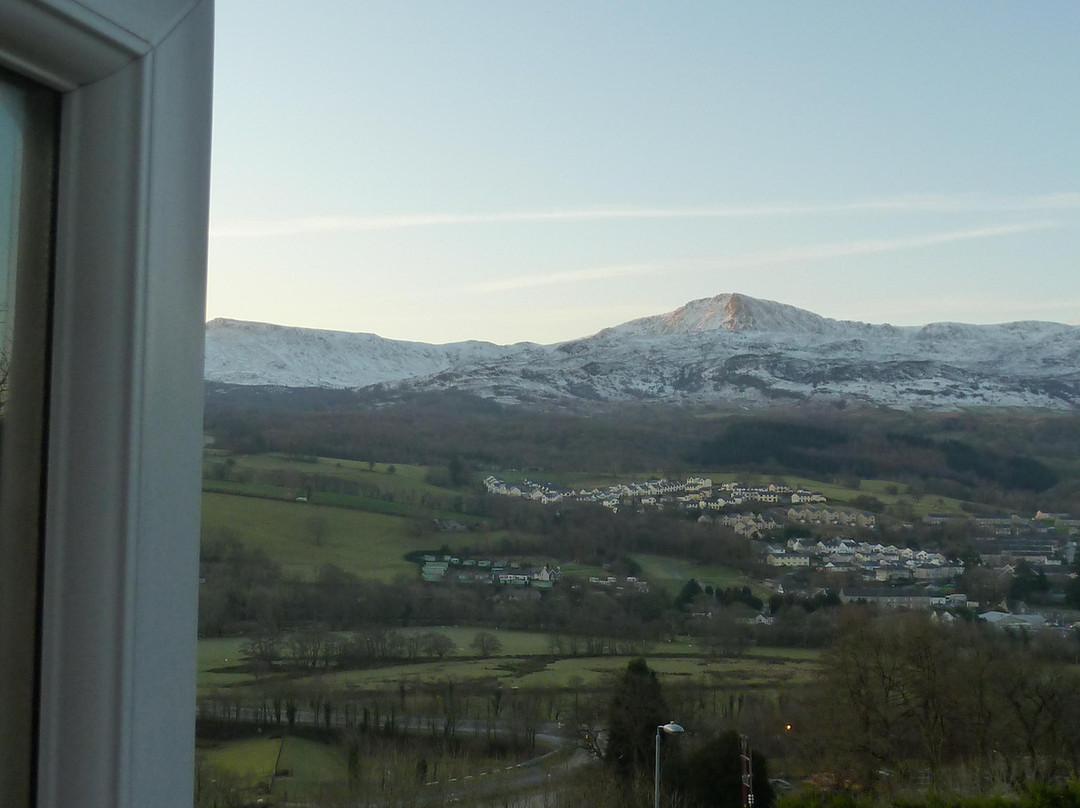 Dwy Olwyn Bed & Breakfast主图