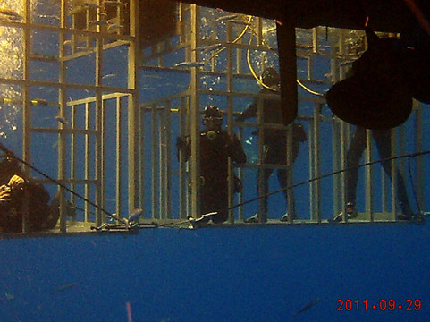 Islander Charters Inc-圣地亚哥必去景点