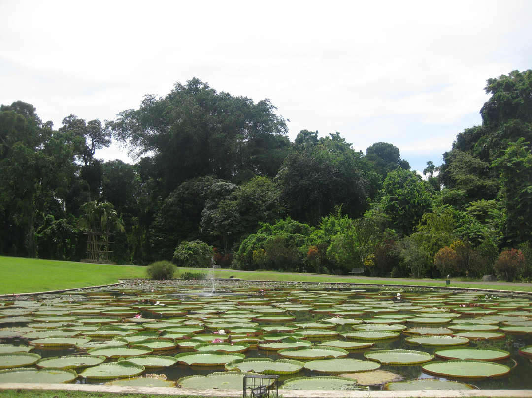 Kebun Raya Bogor-茂物必去景点
