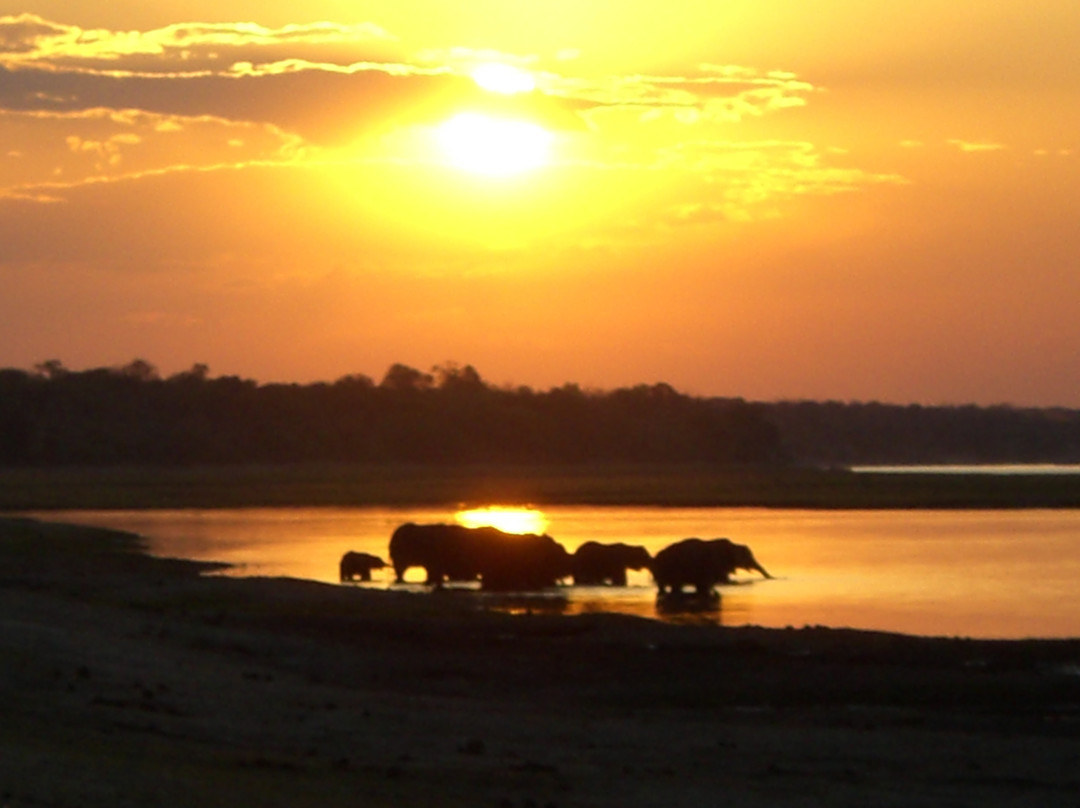 Chobe River Boat Cruises景点图片